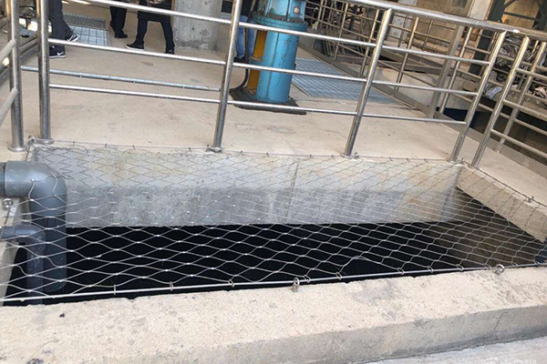 1654501125114582.jpg 1.jpg